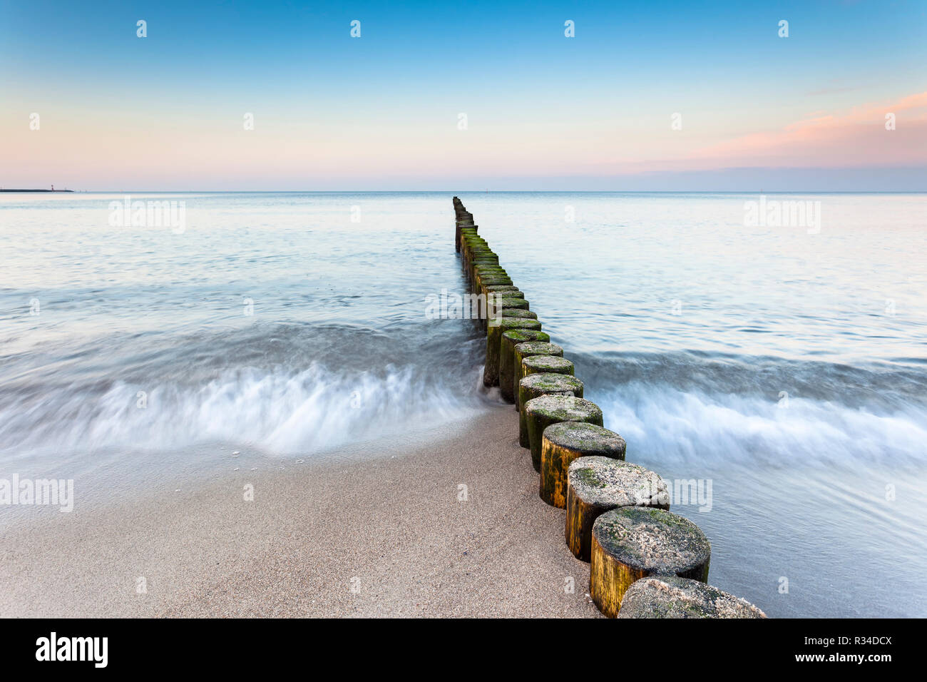 Pennelli sul mar Baltico Foto Stock