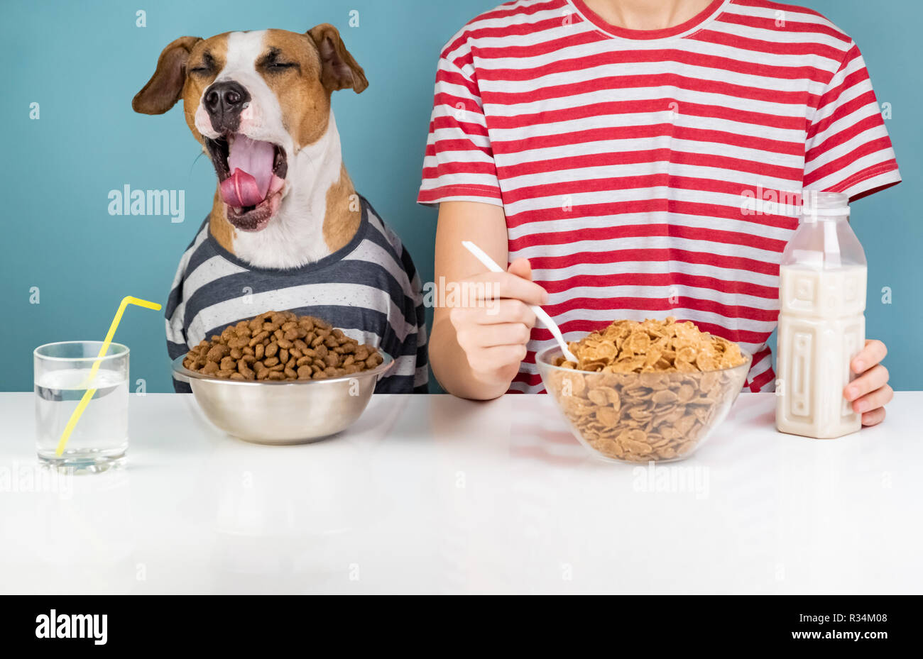 Sleepy Dog e uomo avente insieme per la prima colazione. Minimalista concetto illustrativi del cane che sbadiglia con una persona nella parte anteriore del pet food e cereali bocce. Foto Stock