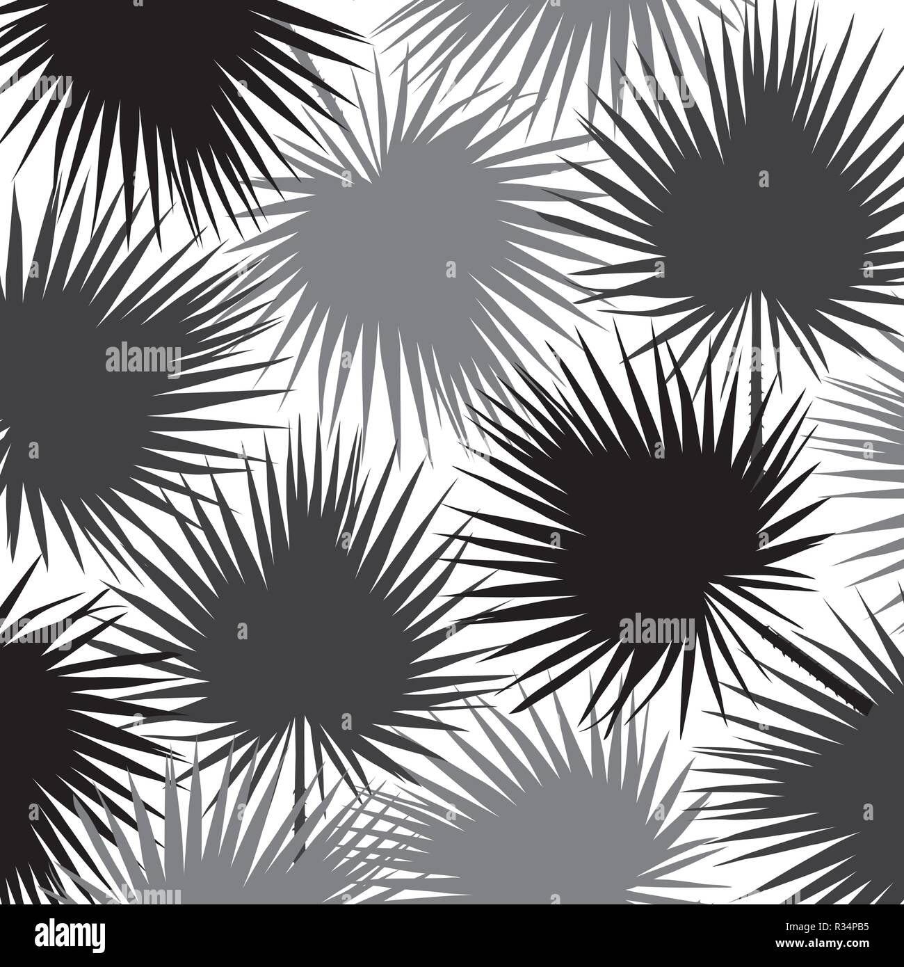 Silhouette di foglia Libistones di cinesi, Southern palm. Illustrazione Vettoriale Illustrazione Vettoriale