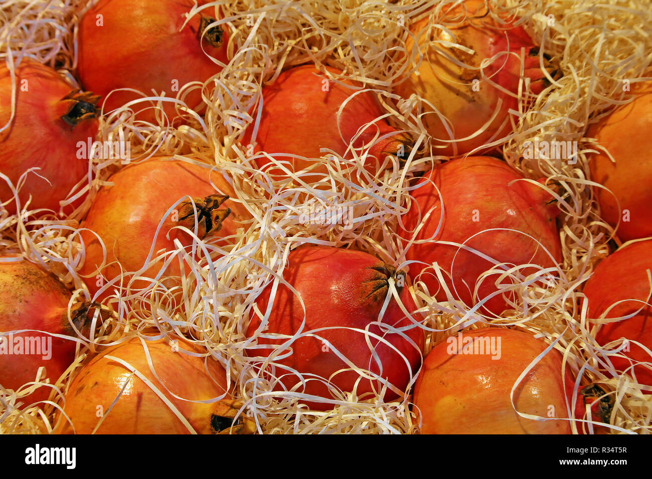 Melograni Foto Stock