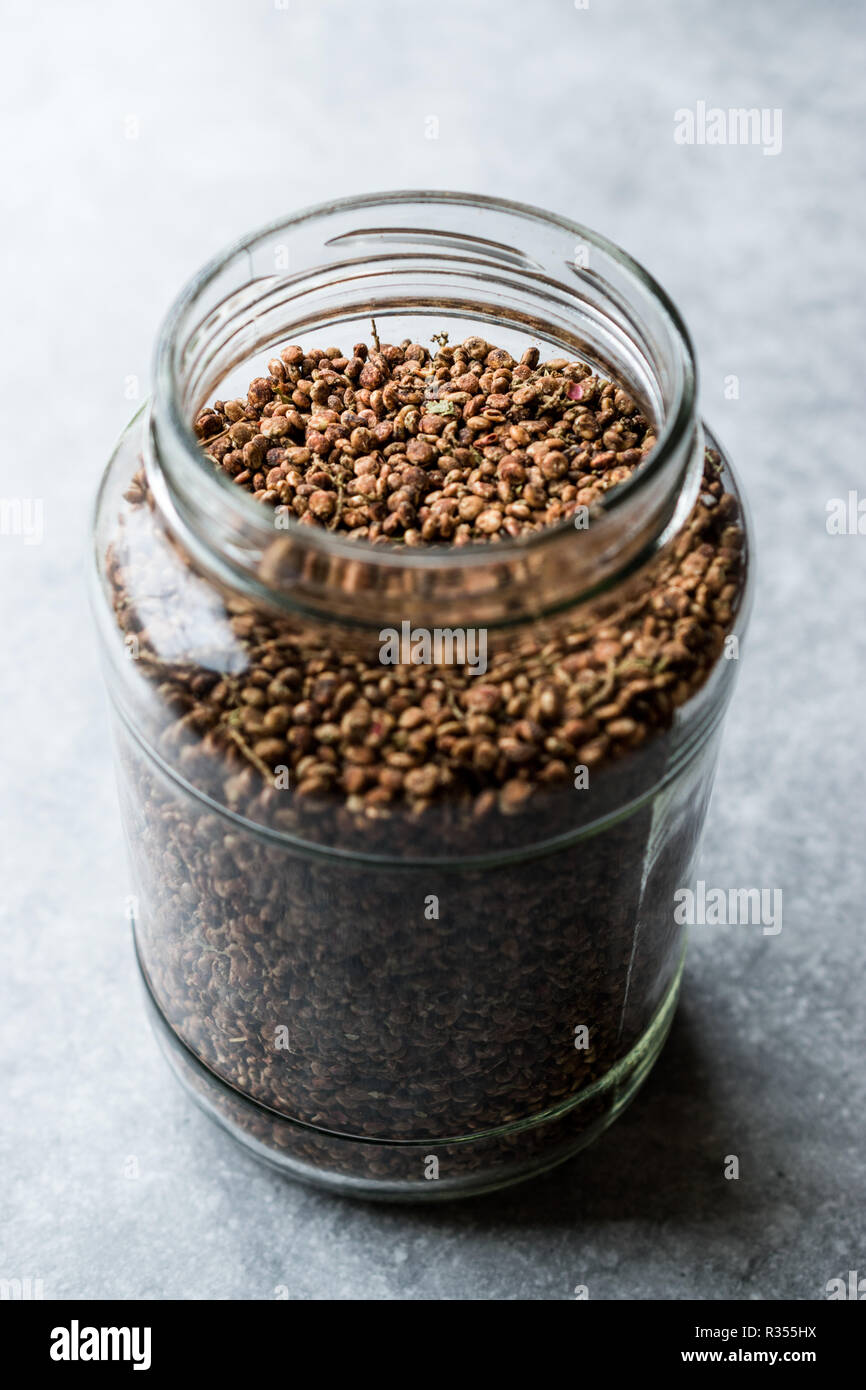Un vasetto di semi di sommacco / raccolte Malosma Laurina Laurel Sumak. Spice organico. Foto Stock