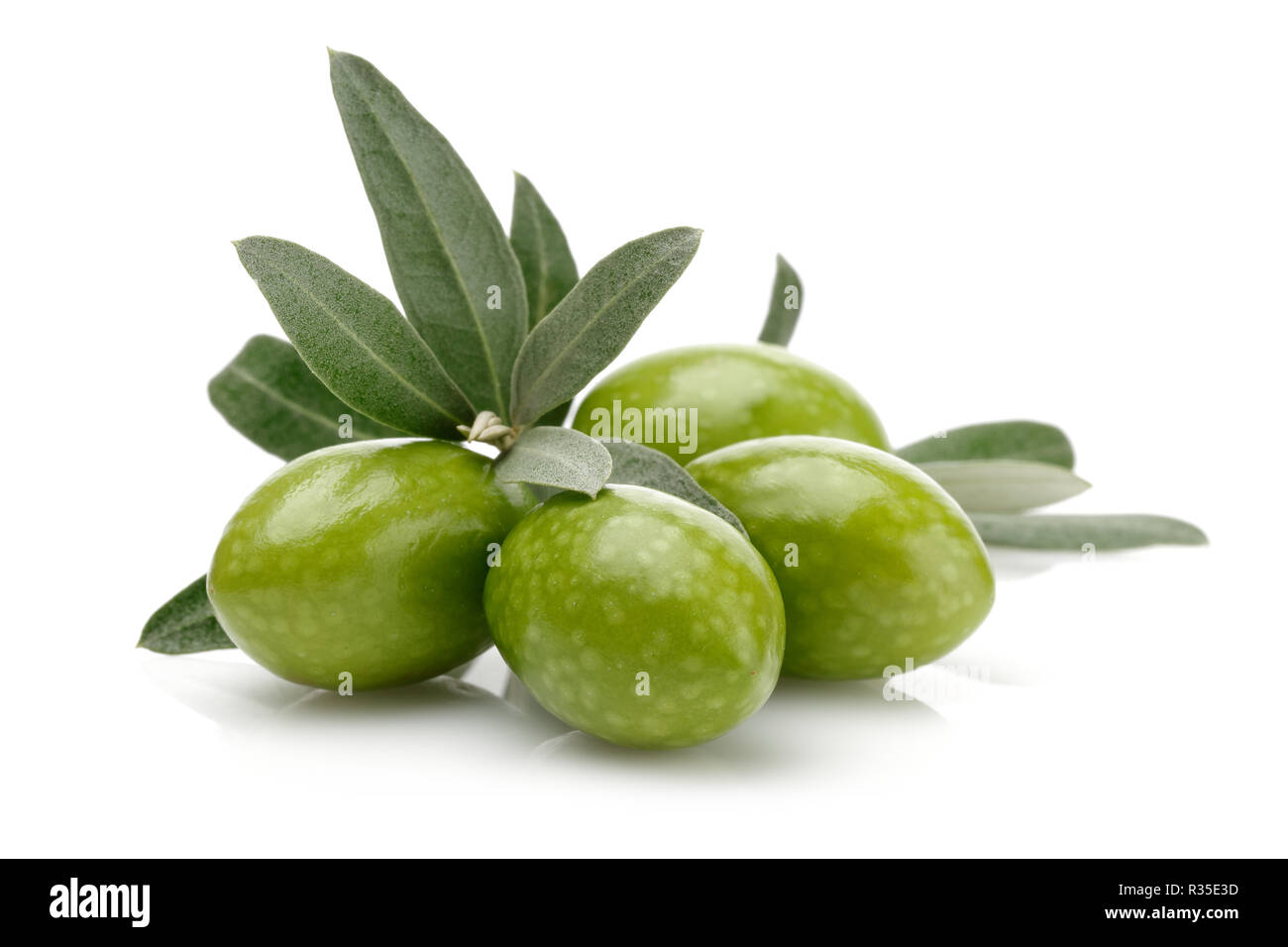 Green Olive Branch isolati su sfondo bianco Foto Stock