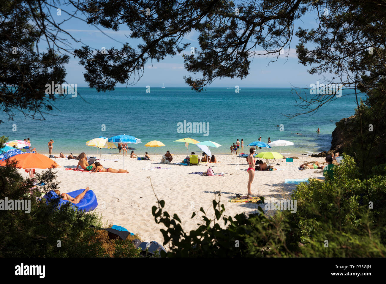 Praia dos Coelhos sul pomeriggio estivo, Portinho da Arrabida, Parco Naturale di Arrabida, distretto di Setubal, regione di Lisbona, Portogallo, Europa Foto Stock