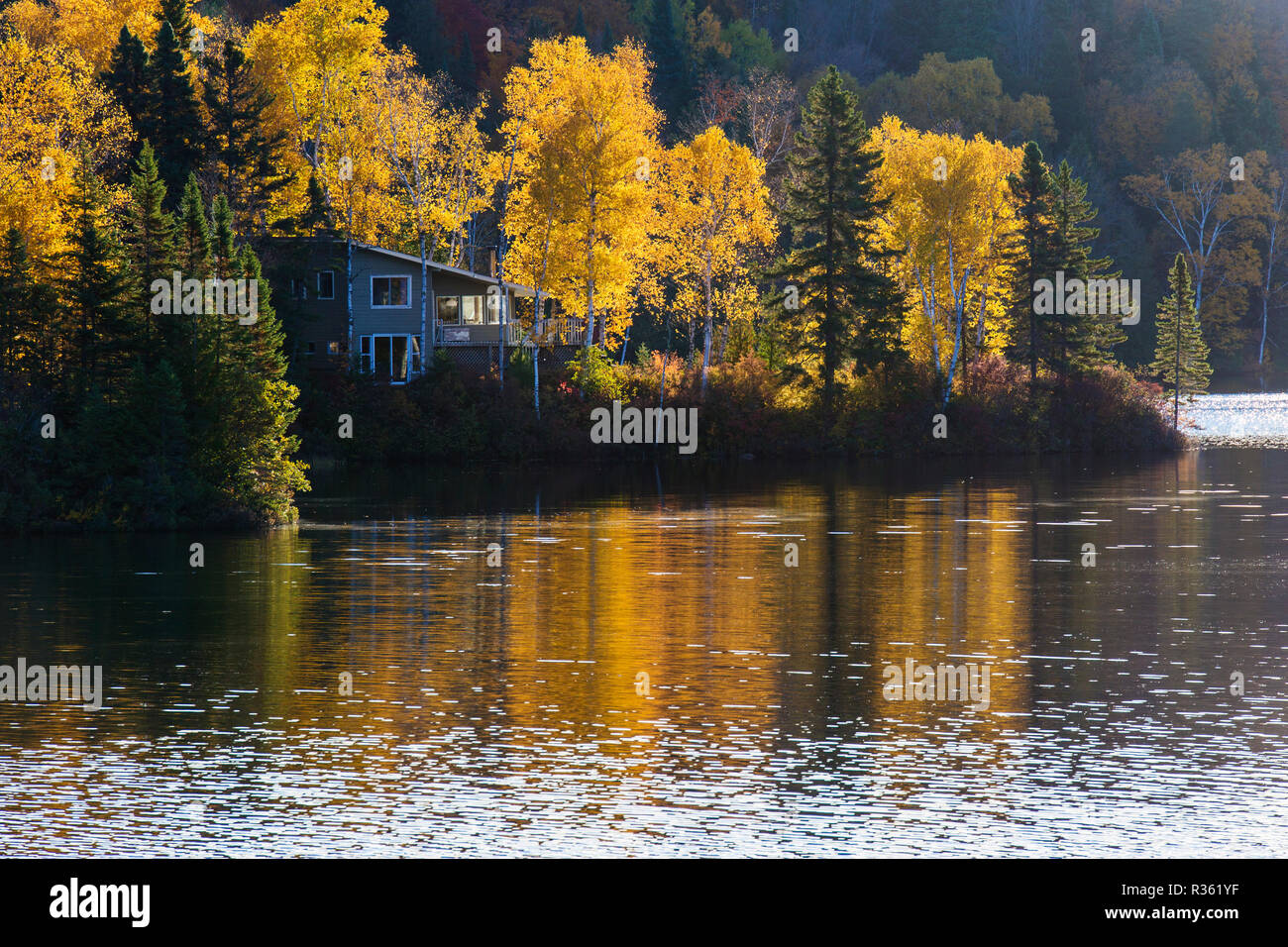 Riflessione Sutumn a Mont Tremblant national park, Canada Foto Stock