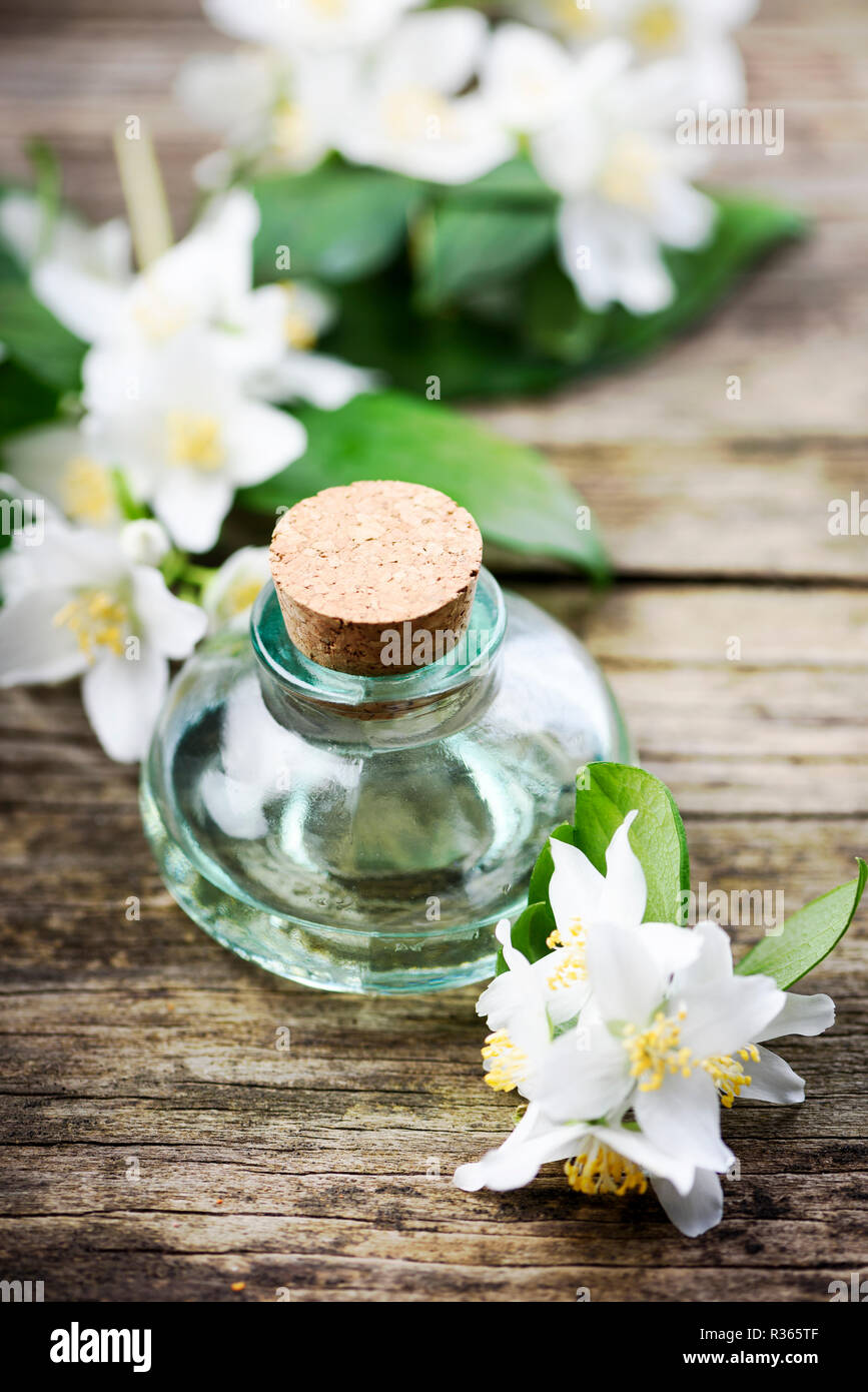 In casa naturale olio essenziale di fiori di gelsomino su tavola in legno rustico. Trattamento spa concept. Foto Stock