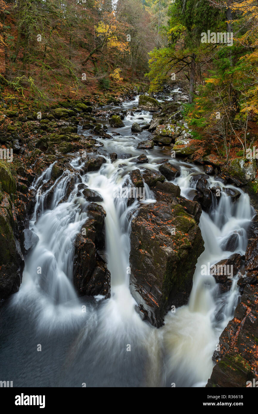 Nero Linn cade sul fiume Braan. L'eremo, Perth and Kinross, Scozia Foto Stock