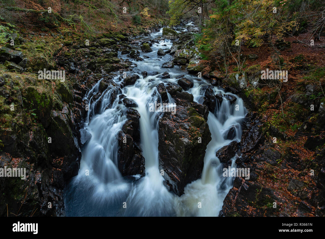 Nero Linn cade sul fiume Braan. L'eremo, Perth and Kinross, Scozia Foto Stock