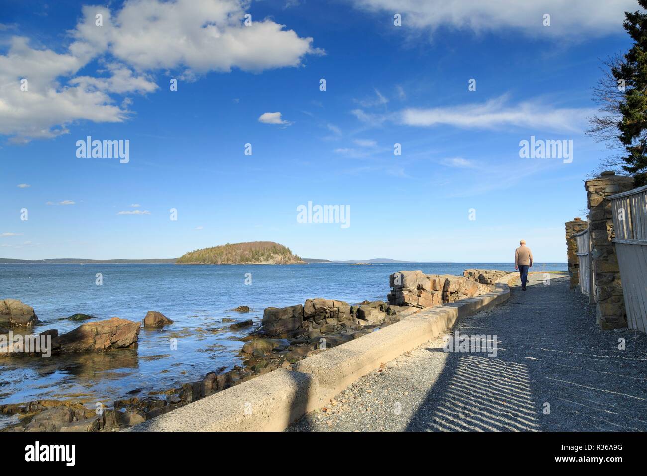 Il percorso di Shore Park lungo il lungomare, Bar Harbor, Mt isola deserta, New England, Maine, Stati Uniti d'America Foto Stock