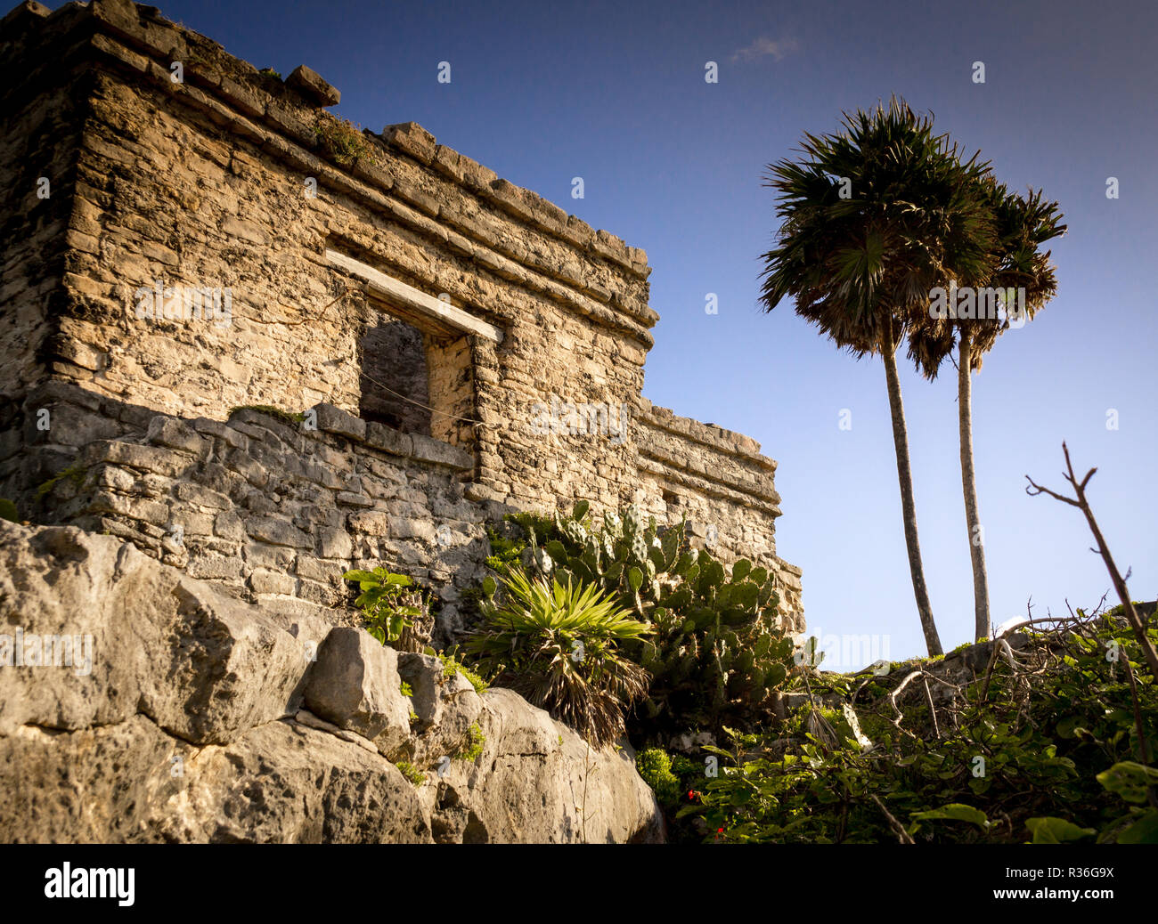 Le rovine maya di Tulum, Messico: le rovine di Tulum nello Yucatan sono adagiato tra palme e situato sulla costa del Mar dei Caraibi. Foto Stock