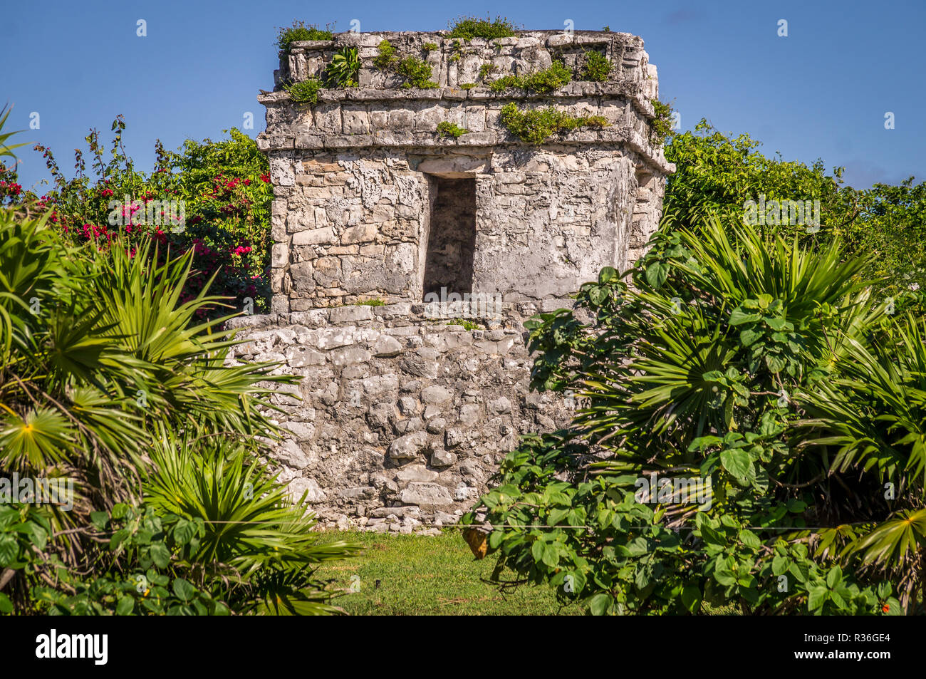 Le rovine Maya di Tulum in Messico sono circondate da una lussureggiante vegetazione. La posizione al Mar dei Caraibi, rendono questo luogo ancora più bello e Foto Stock