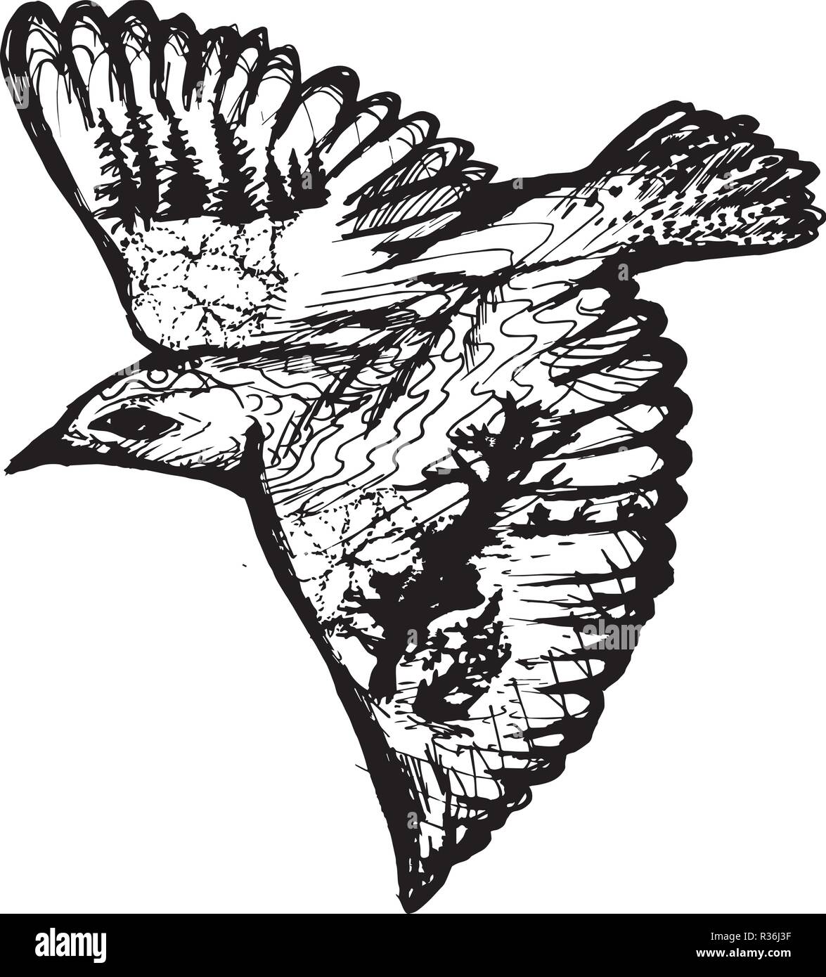 Bianco nero illustrazione di un uccello in doppia esposizione. Illustrazione Vettoriale