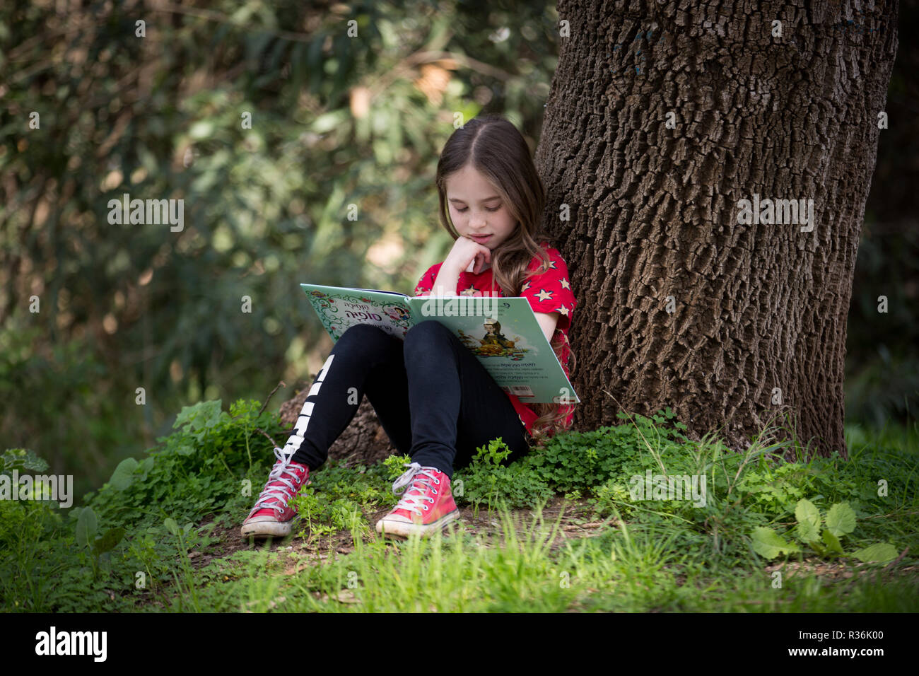 Ragazza la lettura di un libro seduti sotto un albero nel parco Foto Stock