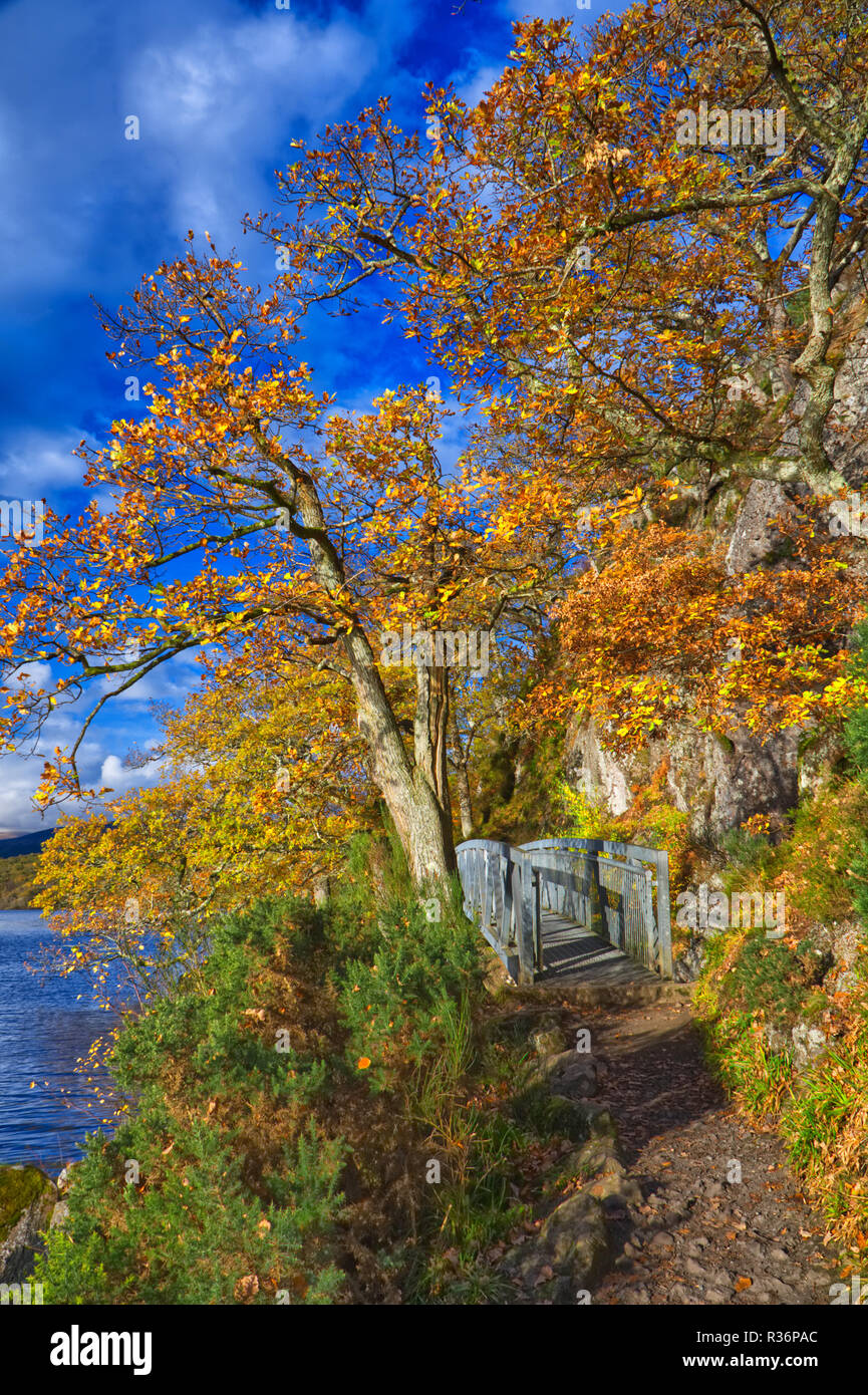 Autunno a Balmaha road Foto Stock