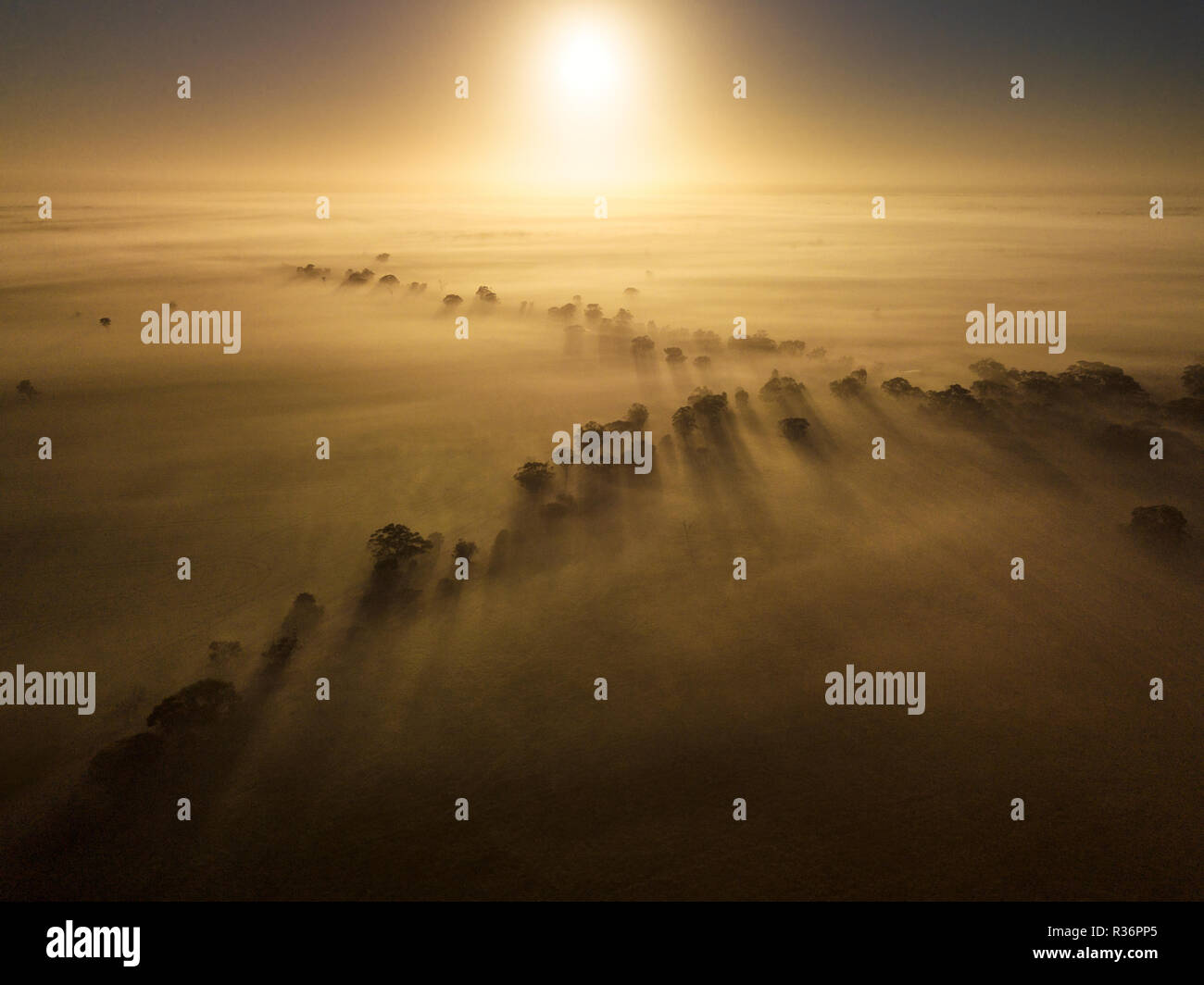 Ripresa aerea di una nebbiosa mattina nella Wimmera. Foto Stock