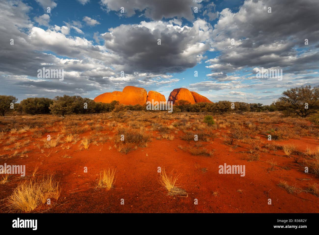 Incredibile cupole di Kata Tjuta nell'ultima luce del giorno. Foto Stock