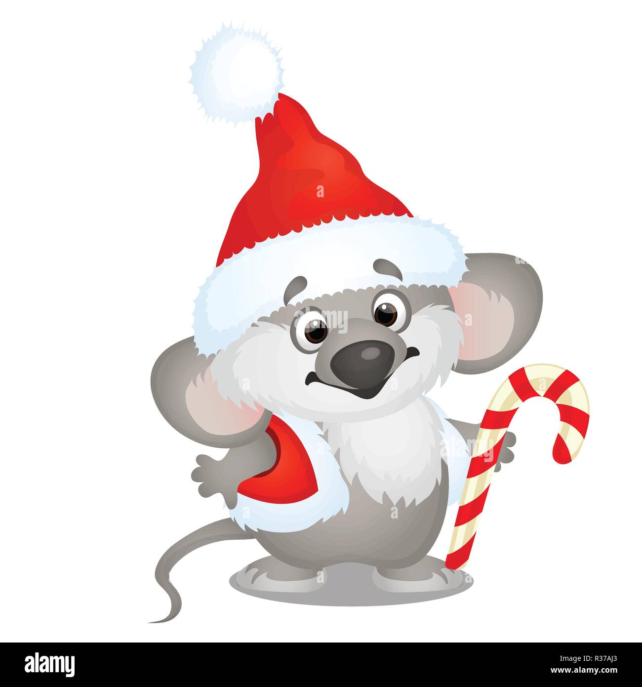 Immagini Koala Natale.Graziosi Koala Recare Nella Hat Di Babbo Natale Con I Dolci Di Candy Cane Isolato Su