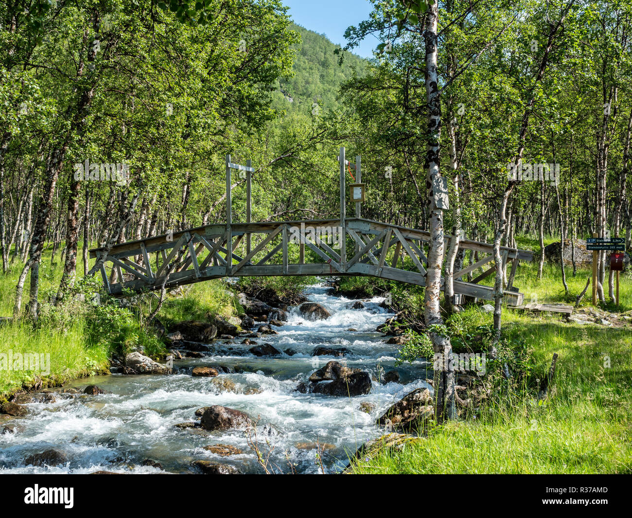 Ponte di legno sul sentiero attraversa un piccolo fiume, escursione lungo la valle Steindalen a glacier Steindalsbre, alpi Lyngen, a sud di Lyngseidet, Troms coun Foto Stock