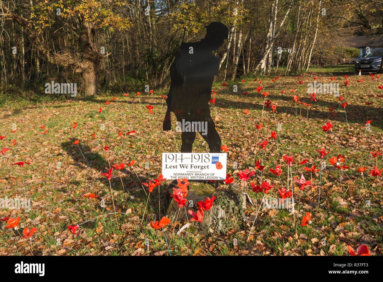 Silhouette di un soldato e di visualizzazione dei papaveri per commemorare i 100 anni dalla fine della guerra mondiale 1 nel villaggio di Normandia nel Surrey, Regno Unito Foto Stock