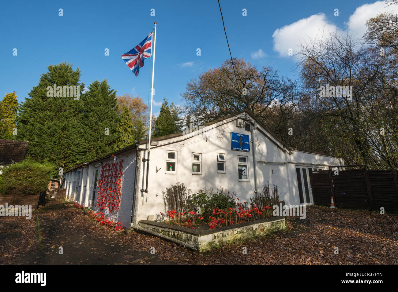 Il Royal British Legion Hall nel villaggio della Normandia nel Surrey, Regno Unito, con un display di papaveri 100 anni dopo la fine della prima guerra mondiale Foto Stock