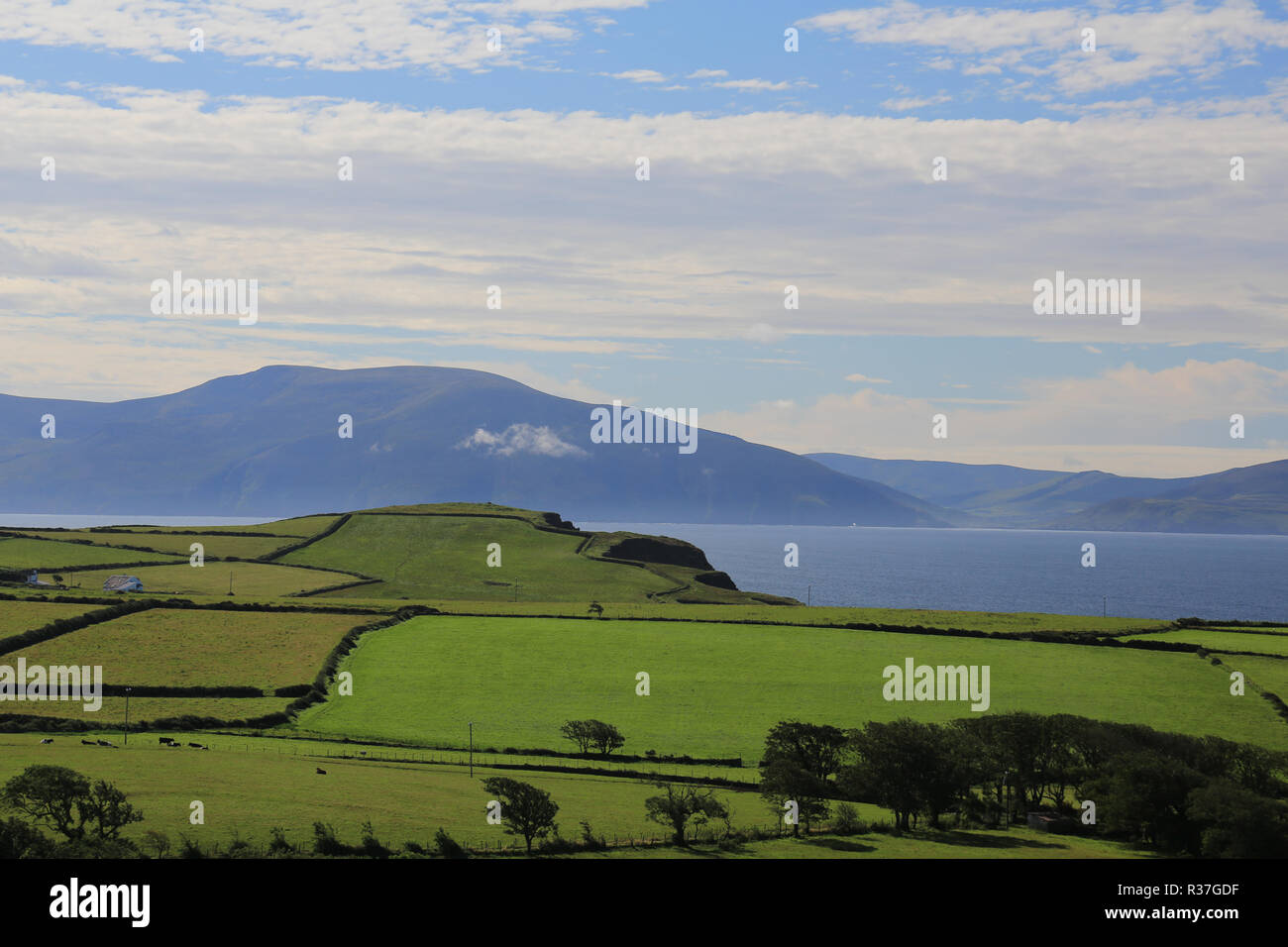 Grandi campi verdi con l'oceano atlantico come sfondo, wild atlantic modo, County Kerry, Irlanda Foto Stock