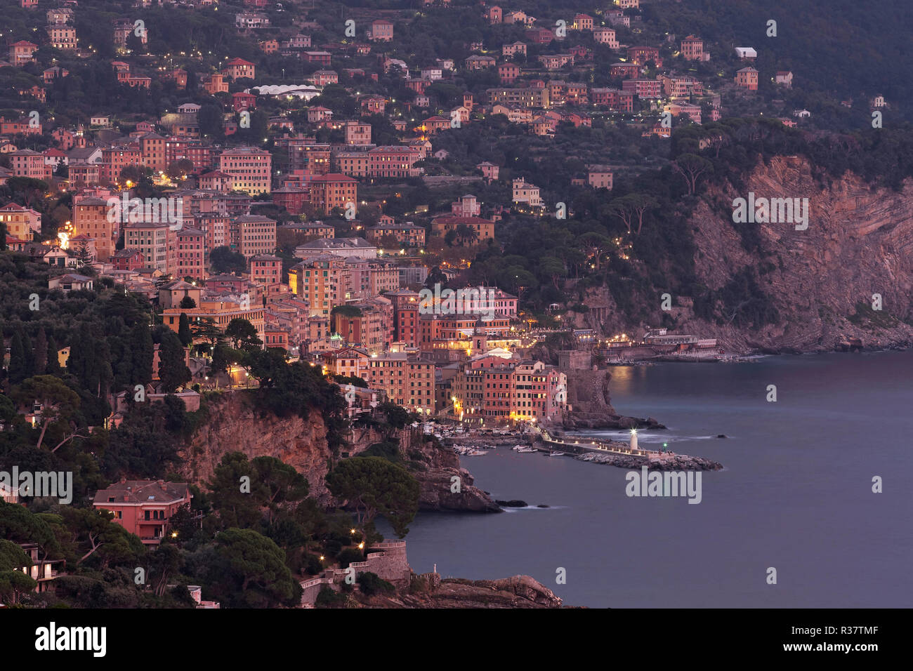 Vista di Camogli, in serata, Golfo Paradiso, Provincia Genova, Riviera italiana e la Riviera di Levante, Liguria, Italia Foto Stock