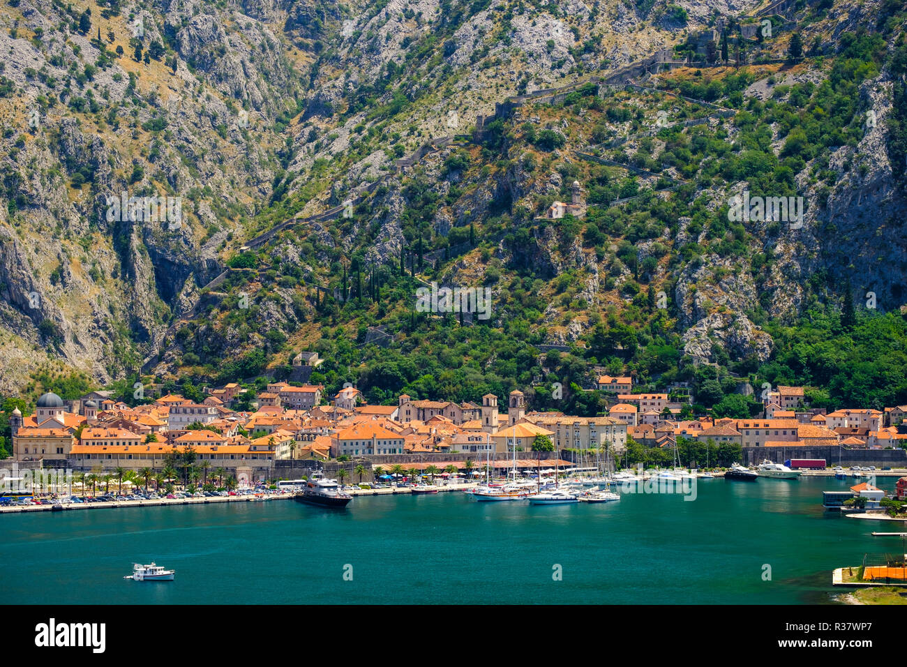 Città vecchia e la fortezza di Kotor, Baia di Kotor, Montenegro Foto Stock