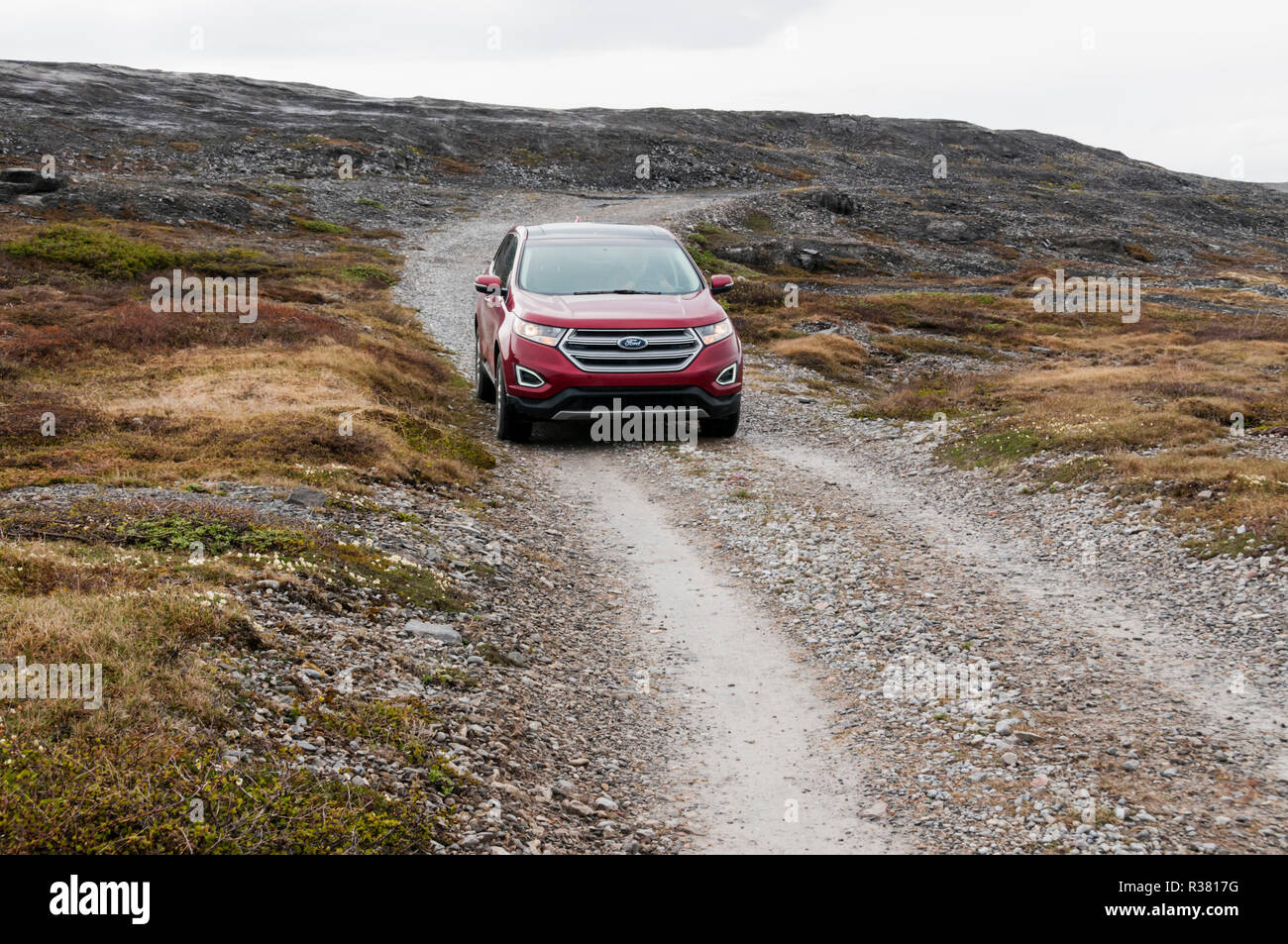 Un auto sulla strada di ghiaia attraverso bruciato Cape riserva ecologica nelle acque di Terranova. Foto Stock