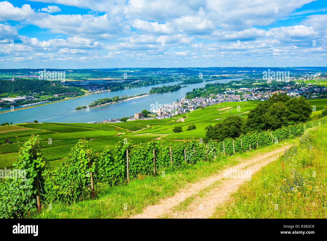Vigneti, Rudesheim am Rhein e Bingen am Rhein antenna città vista panoramica della Valle del Reno, Germania Foto Stock