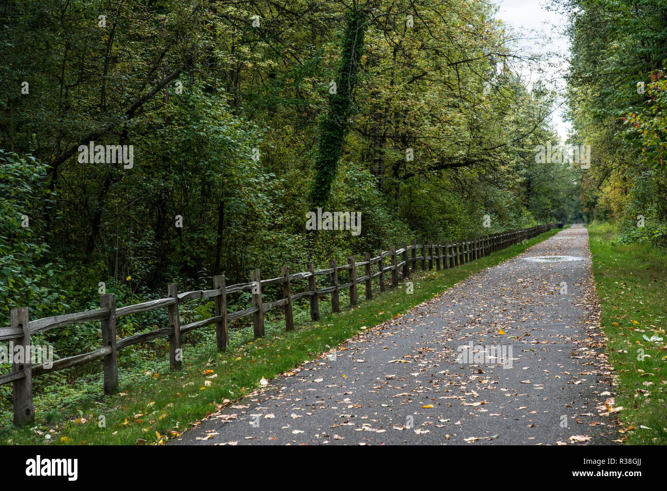 Vecchia staccionata in legno nel bosco lungo il percorso in bicicletta Foto Stock
