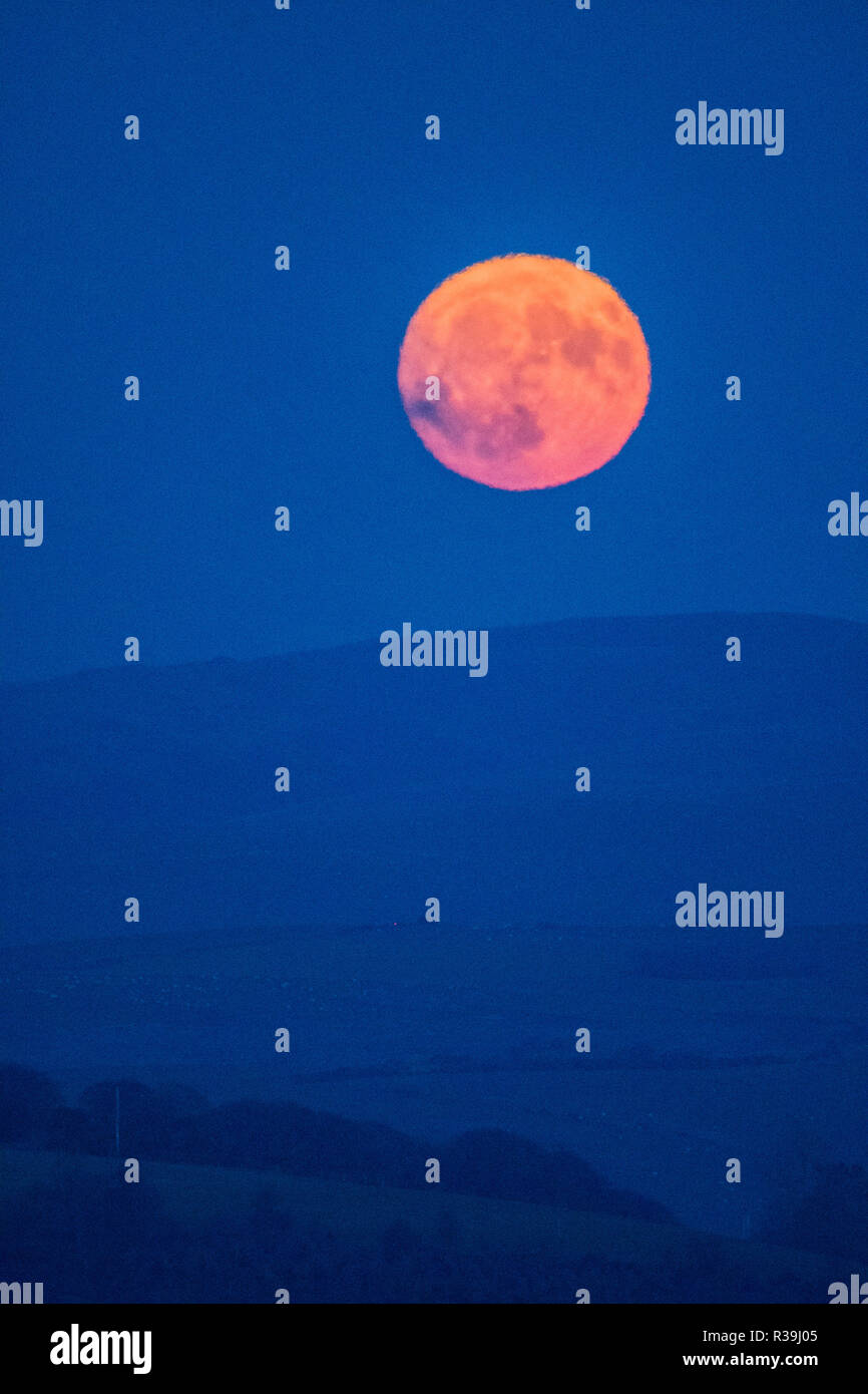 Aberystwyth, Wales, Regno Unito. Il 22 novembre 2018. La luna piena, noto questo mese come il castoro Luna, sorge sulle colline al di fuori di Aberystwyth , il Galles centrale, su un freddo novembre notte Photo credit: Keith Morris / Alamy Live News Foto Stock