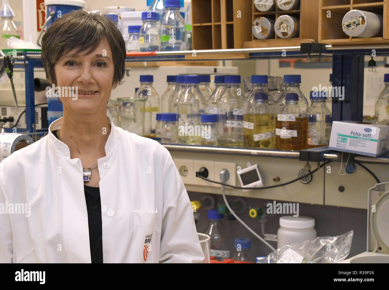 Bremen, Germania. Xiii Nov, 2018. Barbara Reinhold, biologo e capo del Dipartimento di microrganismi e pianta interazione presso l'Università di Brema, è nel suo laboratorio. Lei e il suo team stanno indagando le cause delle malattie fungine della pianta di spezie zafferano e sono alla ricerca di antidoti, che potrebbero essere batteri. (A dpa " Lotta contro il fungo: batteri deve salvare lo zafferano' del 23.11.2018) Credito: Carmen Jaspersen/dpa/Alamy Live News Foto Stock