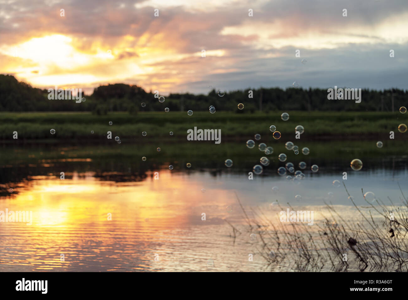 Molte piccole bolle vicino al fiume al tramonto Foto Stock
