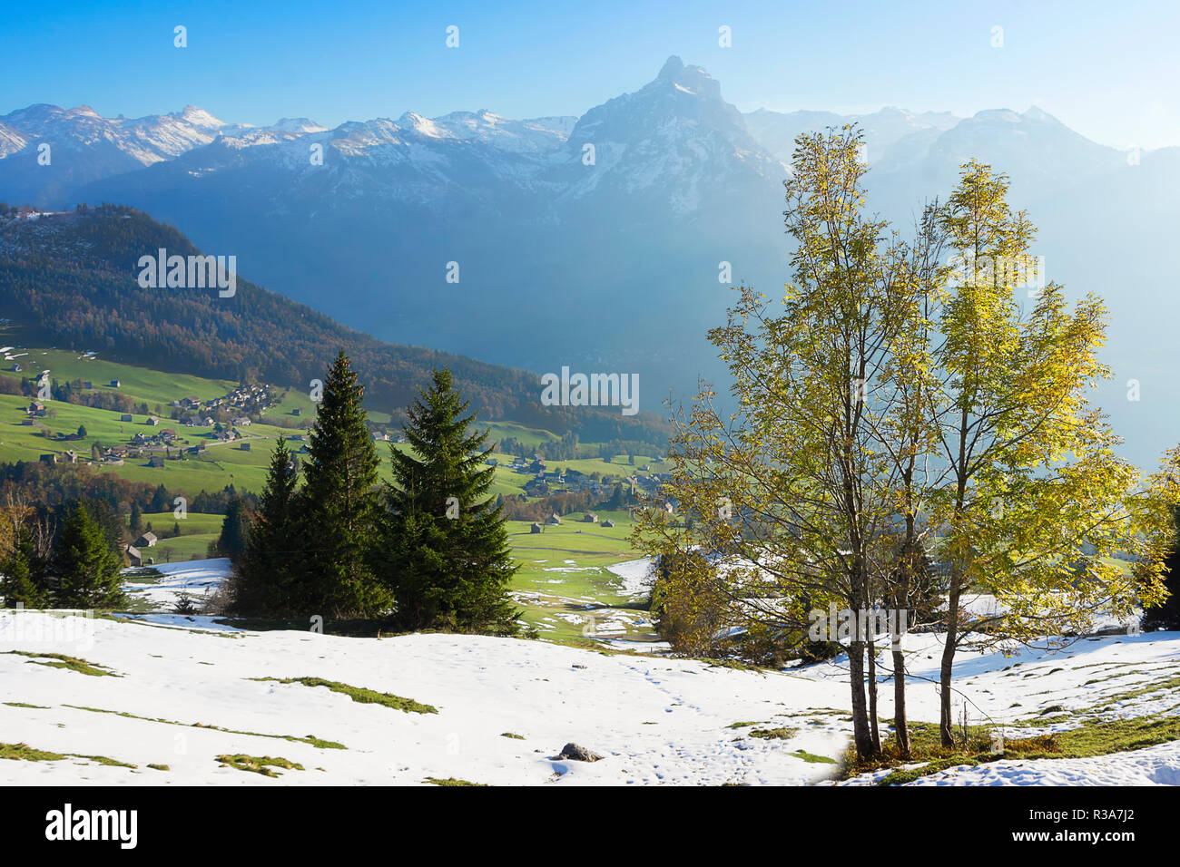 Platano prima di Glarona alpi Foto Stock