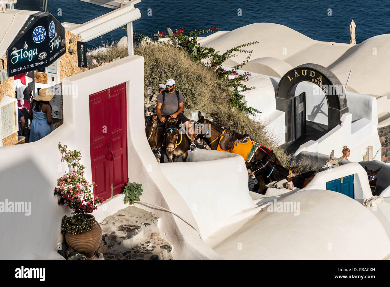 Porta Rossa che conducono a gradini, con muli a salire le scale in background. Vicino al ristorante Lauda Foto Stock