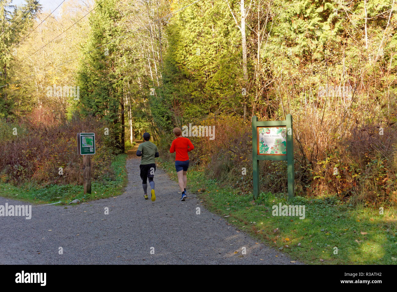 Due giovani uomini jogging lungo un sentiero in spirito pacifico parco regionale e preservare la natura, Vancouver, BC, Canada Foto Stock