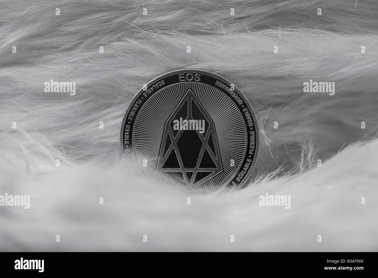 Eos cryptocurrency moneta fisica posto su pellicce artificiali a guardare come è appeso tra le nuvole. La foto è in bianco e nero Foto Stock