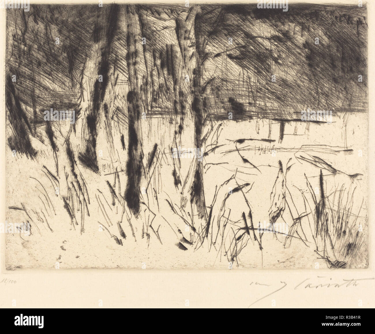 Il giardino zoologico (Tiergarten). Data: 1922. Dimensioni: piastra: 22,2 x 30,1 cm (8 3/4 x 11 7/8 in.) foglio: 38,7 x 48 cm (15 1/4 x 18 7/8 in.). Medium: puntasecca in nero su carta del Giappone. Museo: National Gallery of Art di Washington DC. Autore: Lovis Corinth. Foto Stock