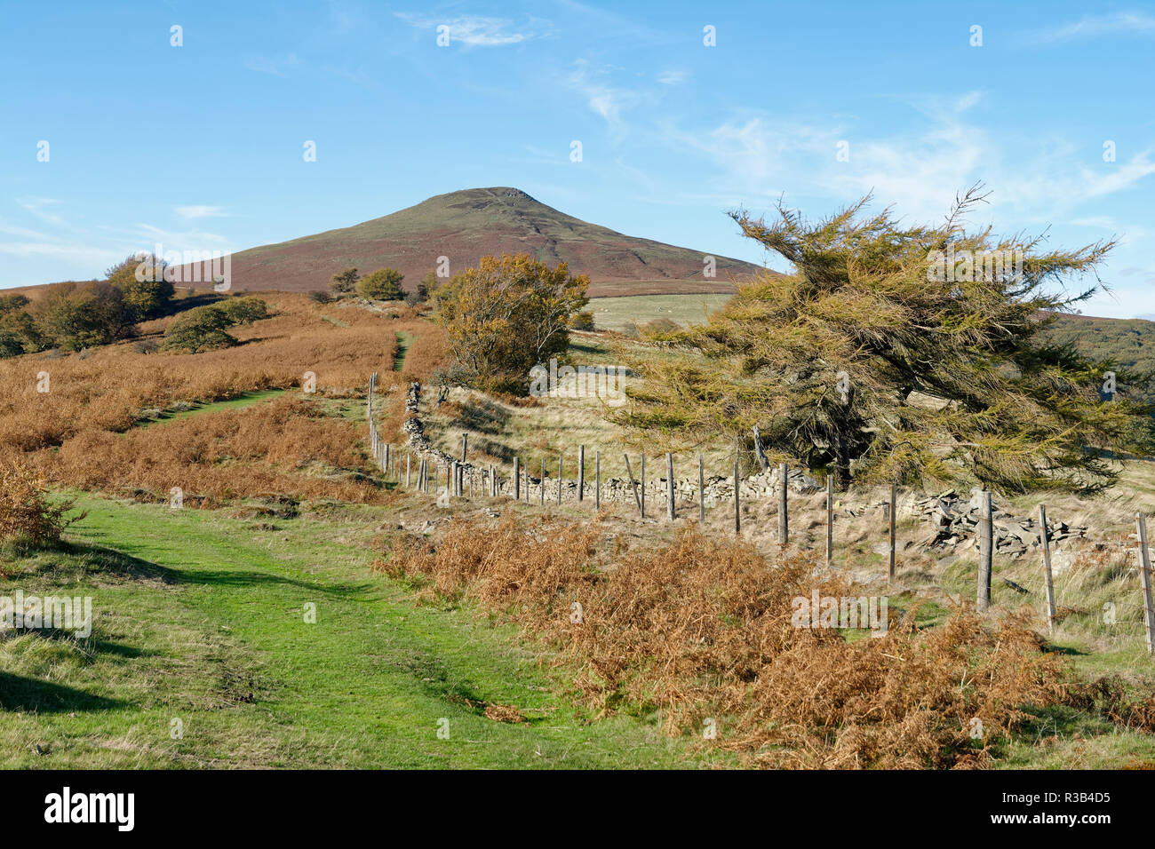 Il Pan di Zucchero (596M), Abergavenny Montagna Nera valore erratico visto da sud est pendici Monmouthshire, Galles Foto Stock