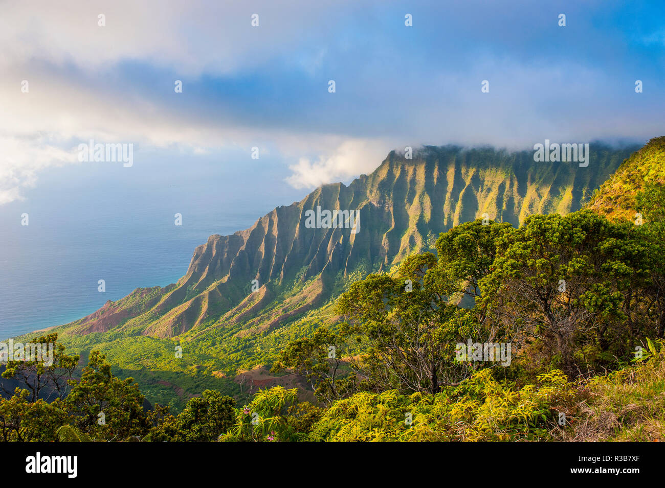 Costa Napali con montagne verdi visto dalla Kalalau lookout, Nā Costa Pali del Parco Statale di Kauai, Hawaii, STATI UNITI D'AMERICA Foto Stock