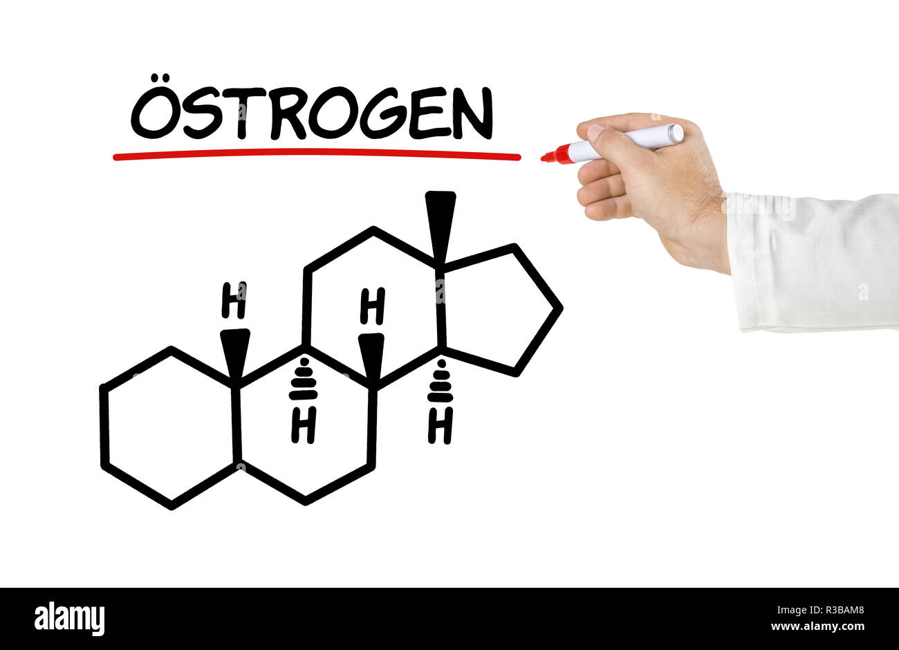 Struttura chimica di estrogeno Foto Stock