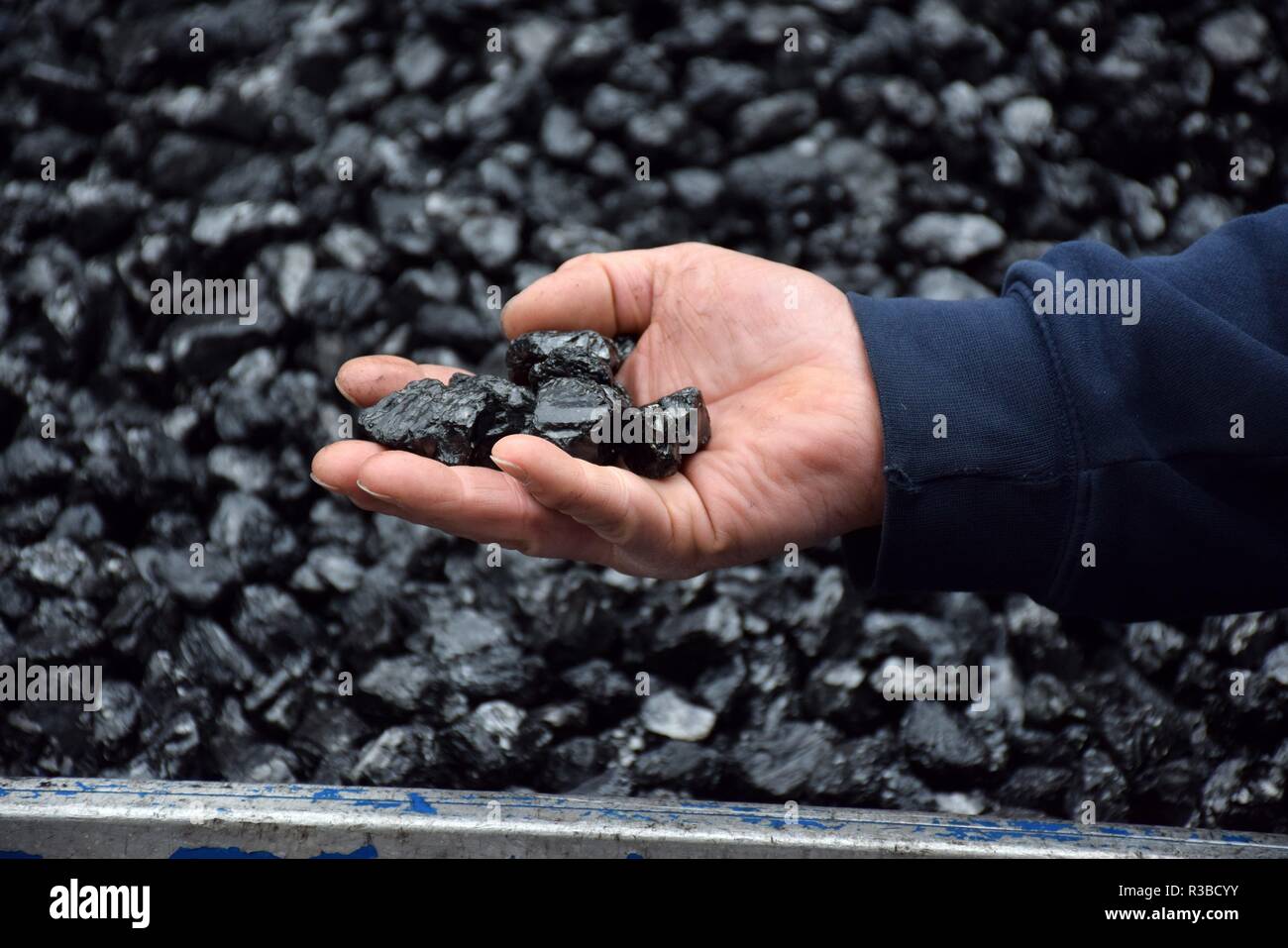Il concessionario per il carbone in piccole quantità per la casa su 21.03.2017 in Dortmund-Hörde - Germania. | Utilizzo di tutto il mondo Foto Stock