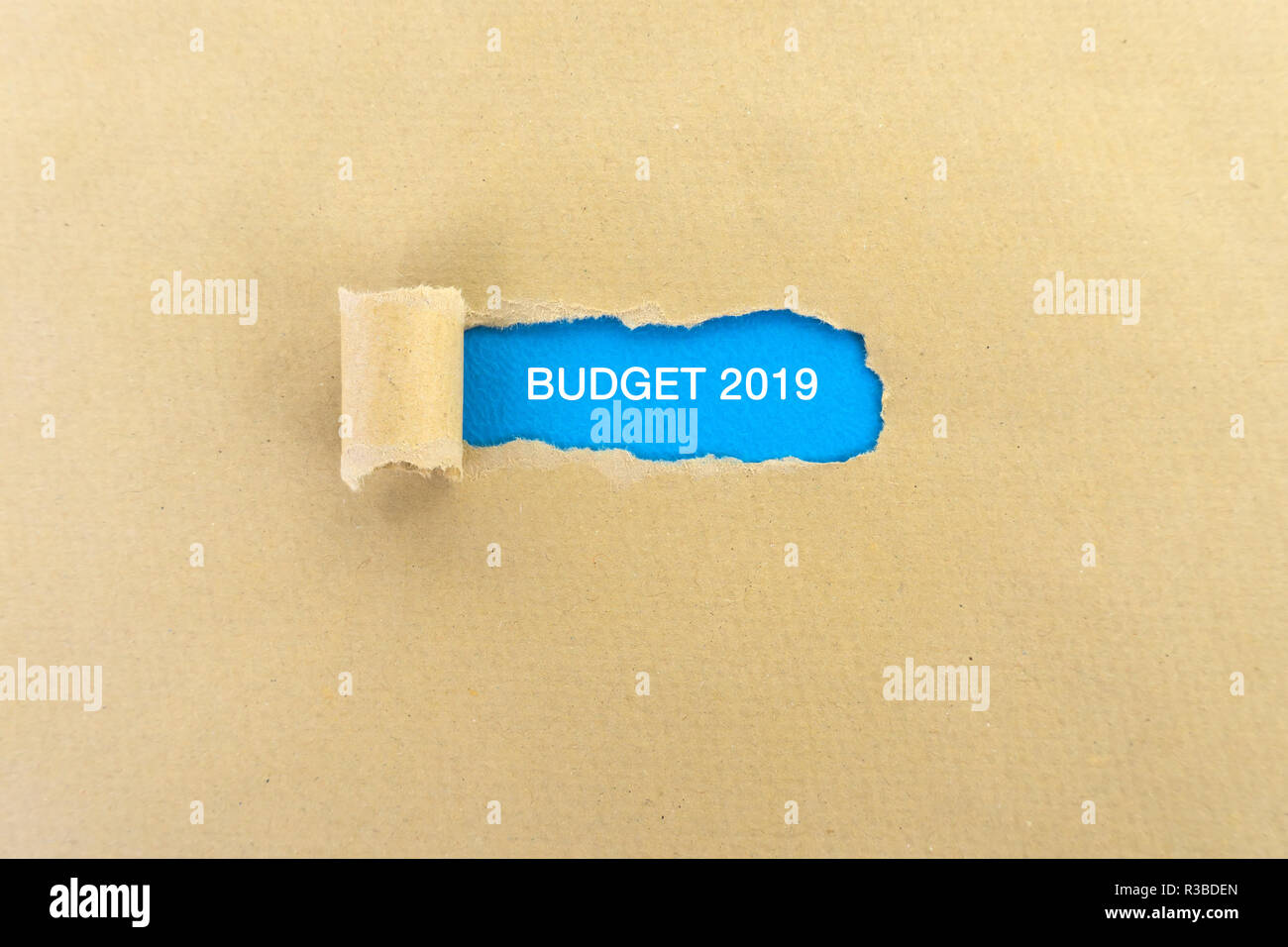 Bilancio 2019 il testo su carta strappata - concetto di business Foto Stock