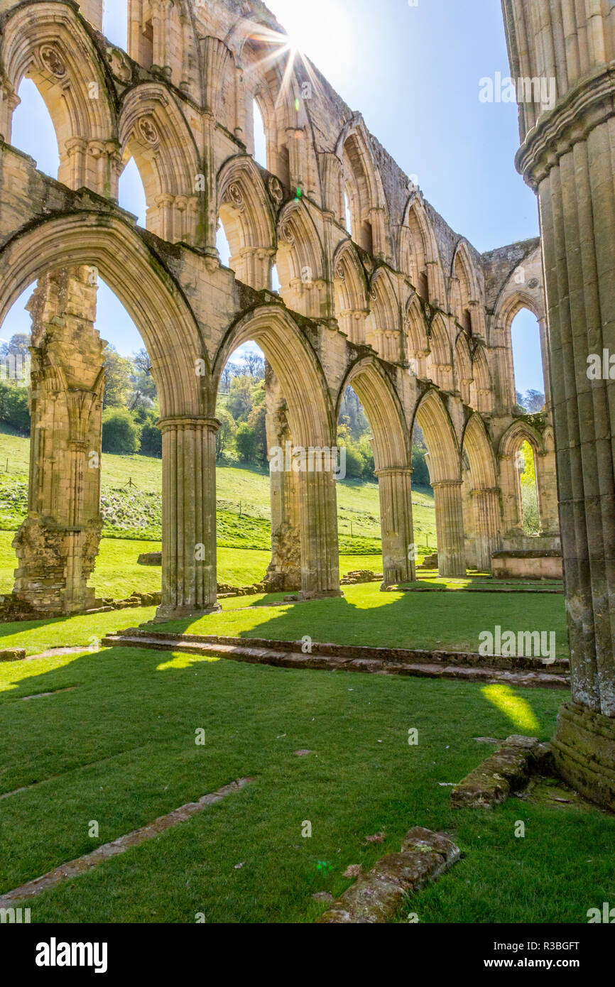 Inghilterra, North Yorkshire, Rievaulx. Xiii c. Rovine cistercensi di Rievaulx Abbey. English Heritage e il National Trust Site. Vicino al fiume di segale. Foto Stock