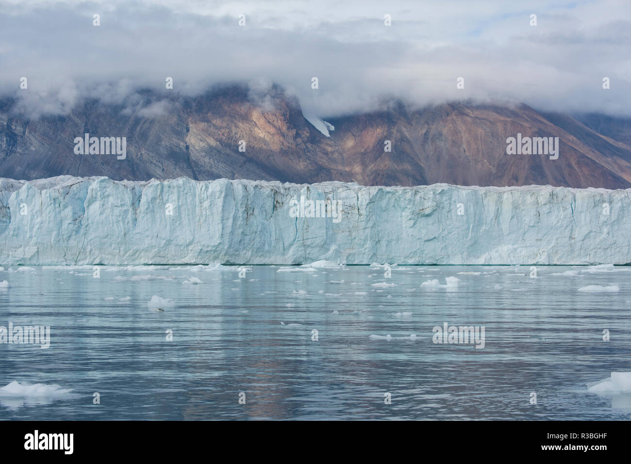 Est della Groenlandia, Scoresbysund, aka Scoresby Sund. Wilson ghiacciaio, faccia del ghiacciaio. Foto Stock