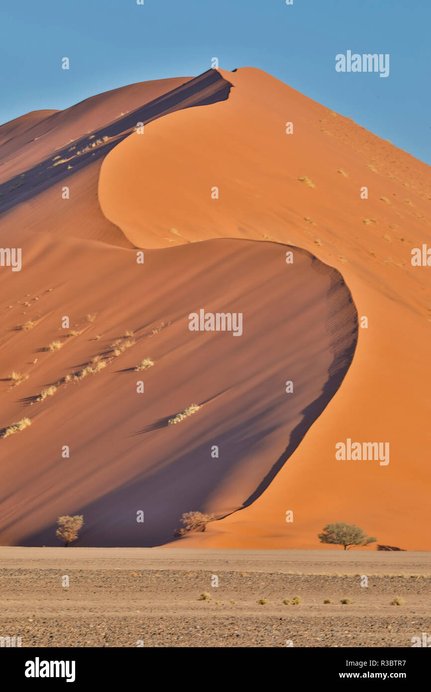 La luce del mattino sulle dune di sabbia di Sossusvlei, Namibia Foto Stock