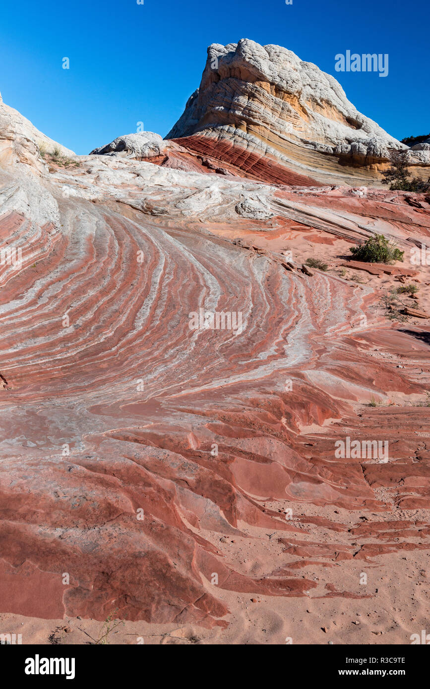 Paesaggio di pietra arenaria, Vermillion Cliffs, tasca Bianco Deserto del Bureau of Land Management, Arizona Foto Stock