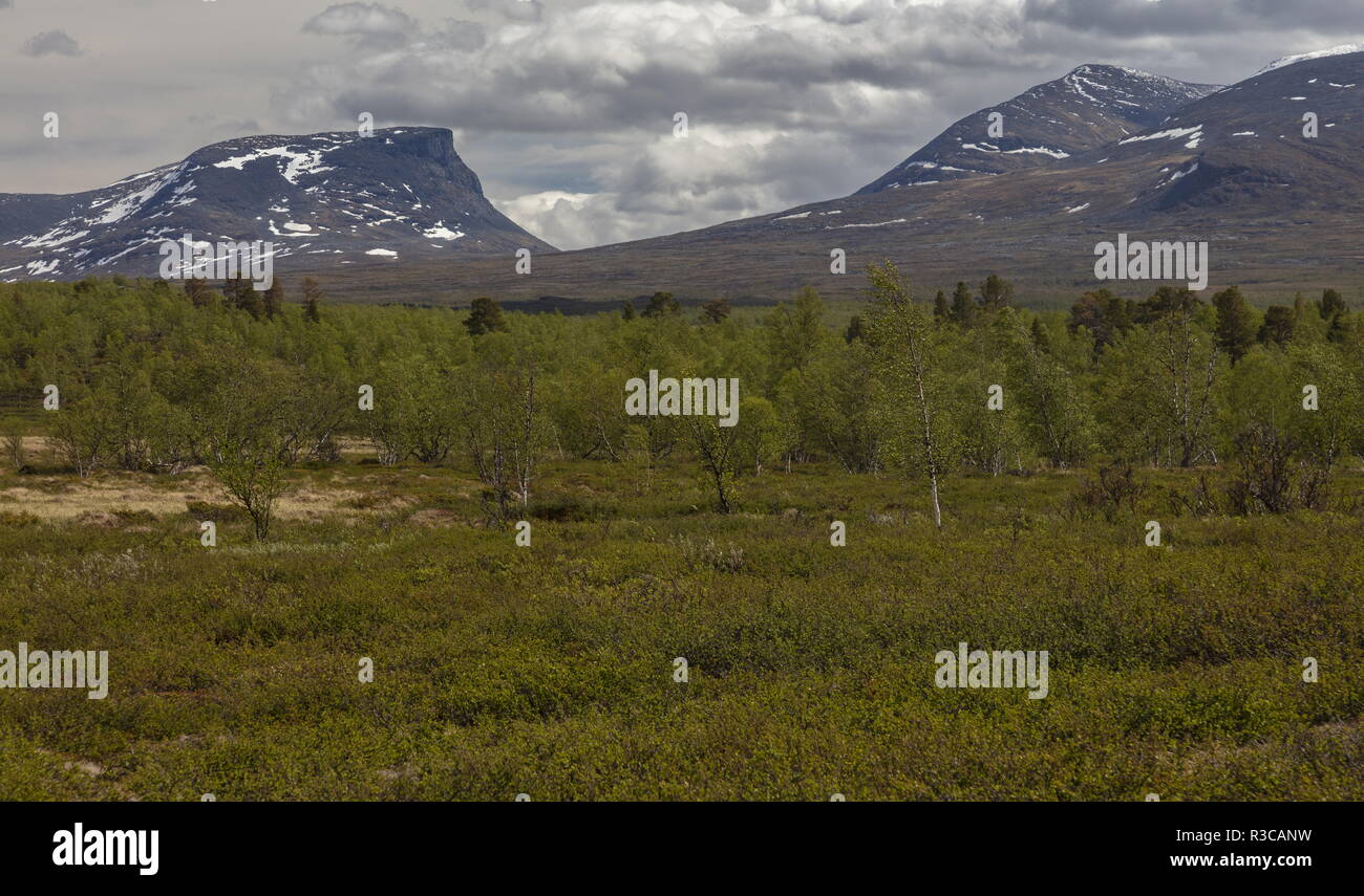 Lapporten, Lapponian Gate, in Abisko National Park, nel nord della Svezia. Foto Stock