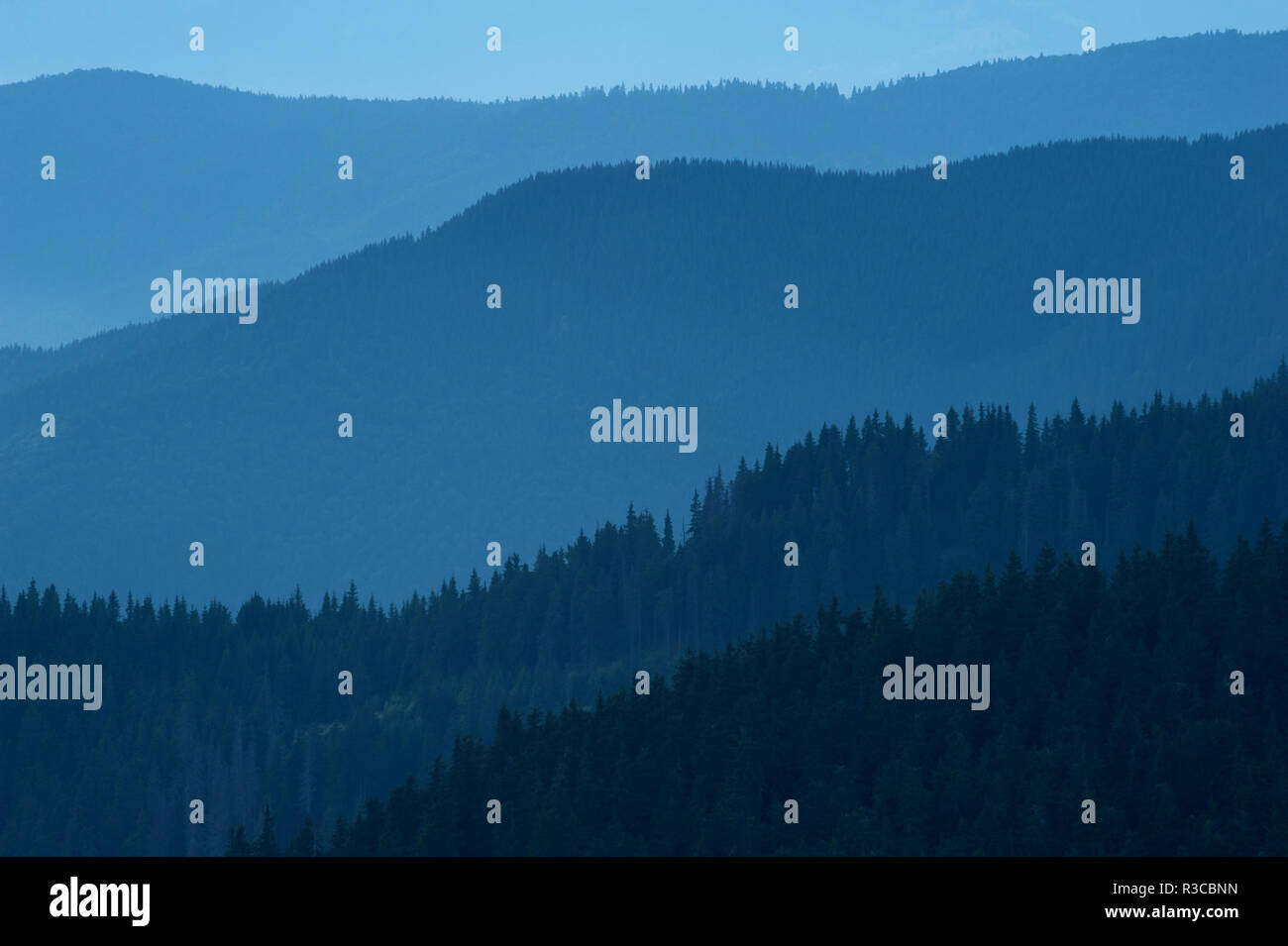 Blu sullo sfondo della natura con sagome di montagna e una foresta di pini. Gradiente liscia da scuro al blu chiaro causato dalla lunga-lente di messa a fuoco e del crepuscolo. Foto Stock