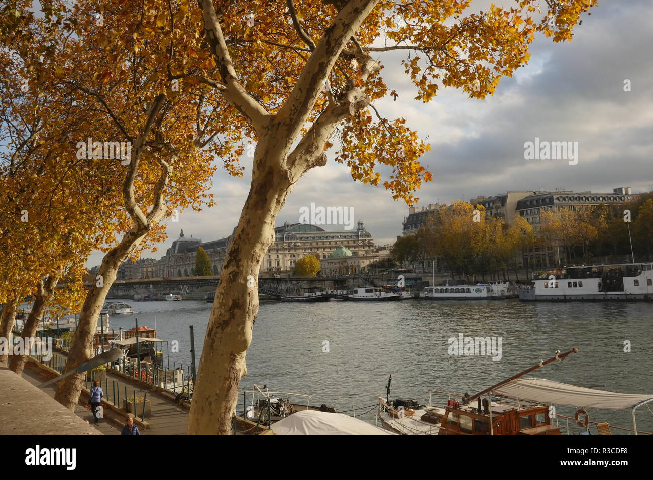 Autunnale di foglie colorate lungo la banská del fiume Senna a Parigi. Foto Stock