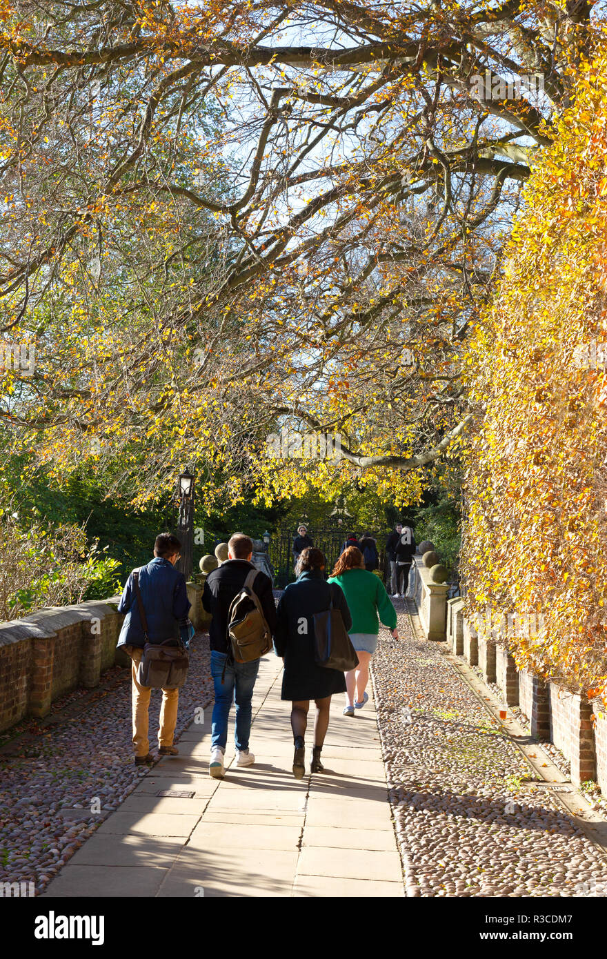 Università di Cambridge gli studenti autunno - gli studenti a piedi nella Clare College di Cambridge in autunno, Università di Cambridge, Inghilterra Cambridge Regno Unito Foto Stock